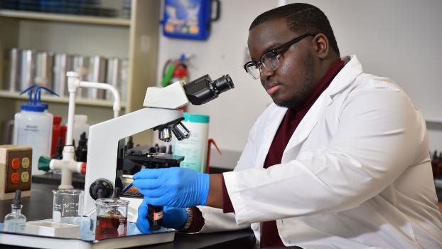 STEM student running tests with solution and microscope